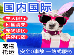 海西德令哈机场邮寄国际宠物托运 【国